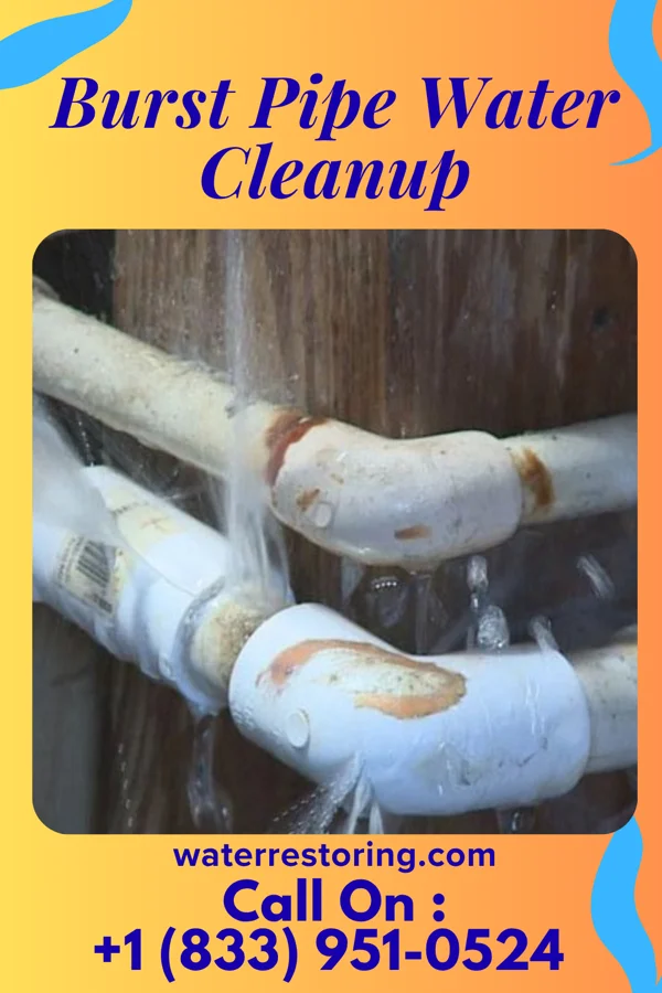 Burst Pipe Water Cleanup in Beaver Dam Lake, NY