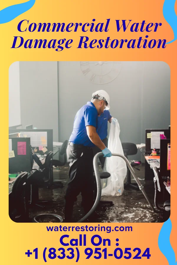 Commercial Water Damage Restoration in Beaver Dam Lake, NY